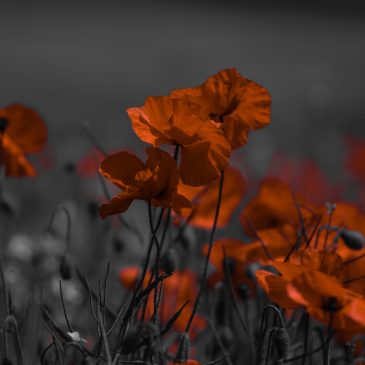 Inspirational Photography !